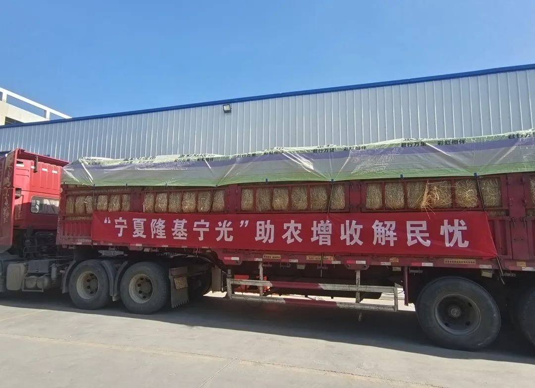 1691545735582580.jpg 1691545735582580.jpg