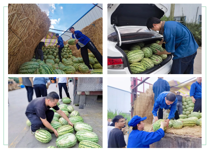 1691545805894120.png 1691545805894120.png