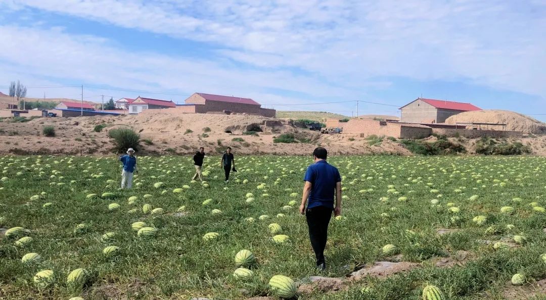 1691545861806423.jpg 1691545861806423.jpg